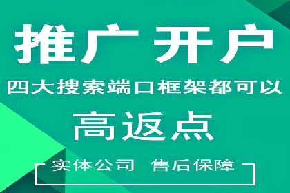 SEM公司案例分析：广告投放策略的优化
