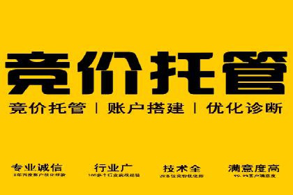 SEM竞价实战：案例解读广告投放技巧